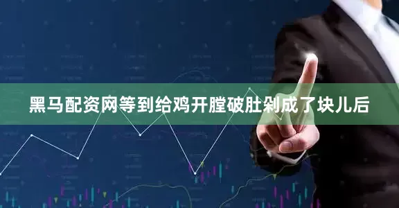 黑马配资网等到给鸡开膛破肚剁成了块儿后