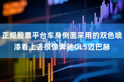 正规股票平台车身侧面采用的双色喷漆看上去很像奔驰GLS迈巴赫
