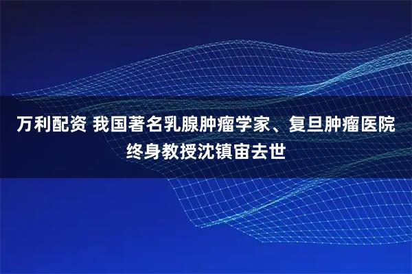万利配资 我国著名乳腺肿瘤学家、复旦肿瘤医院终身教授沈镇宙去世