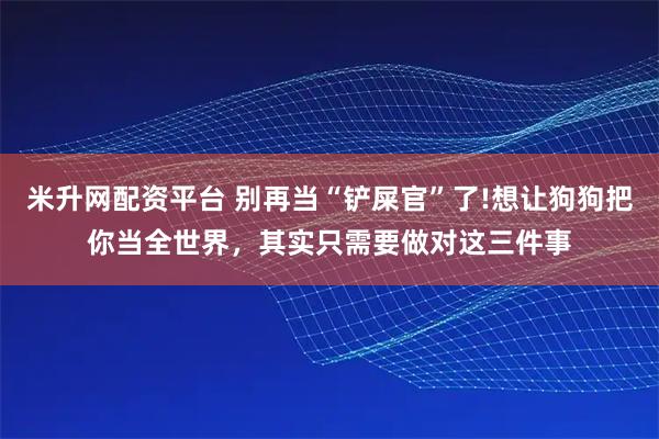 米升网配资平台 别再当“铲屎官”了!想让狗狗把你当全世界，其实只需要做对这三件事