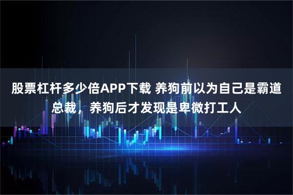 股票杠杆多少倍APP下载 养狗前以为自己是霸道总裁，养狗后才发现是卑微打工人